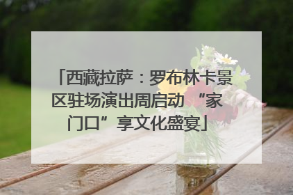 西藏拉萨：罗布林卡景区驻场演出周启动 “家门口”享文化盛宴