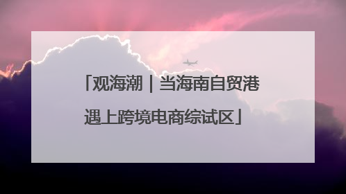观海潮｜当海南自贸港遇上跨境电商综试区