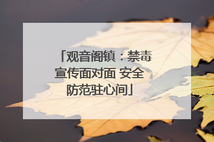 观音阁镇：禁毒宣传面对面 安全防范驻心间