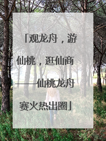 观龙舟，游仙桃，逛仙商——仙桃龙舟赛火热出圈