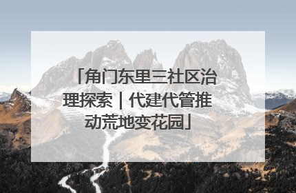 角门东里三社区治理探索｜代建代管推动荒地变花园