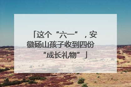 这个“六一”，安徽砀山孩子收到四份“成长礼物”