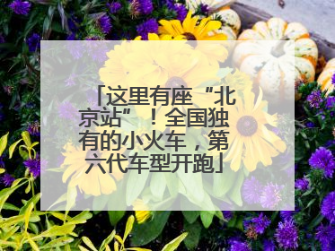 这里有座“北京站”！全国独有的小火车，第六代车型开跑