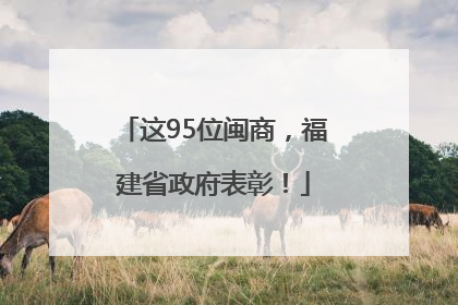 这95位闽商，福建省政府表彰！