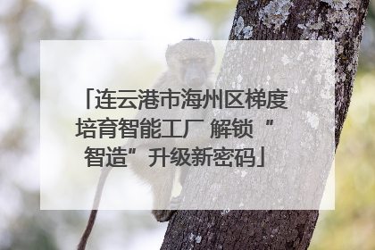 连云港市海州区梯度培育智能工厂 解锁“智造”升级新密码
