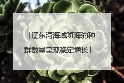 辽东湾海域斑海豹种群数量呈现稳定增长