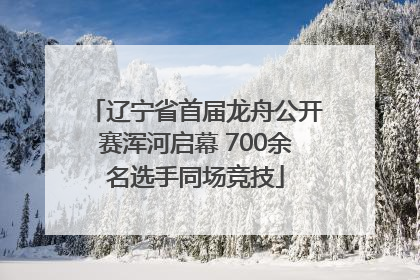 辽宁省首届龙舟公开赛浑河启幕 700余名选手同场竞技