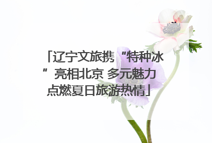 辽宁文旅携“特种冰”亮相北京 多元魅力点燃夏日旅游热情