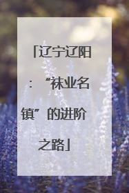 辽宁辽阳：“袜业名镇”的进阶之路