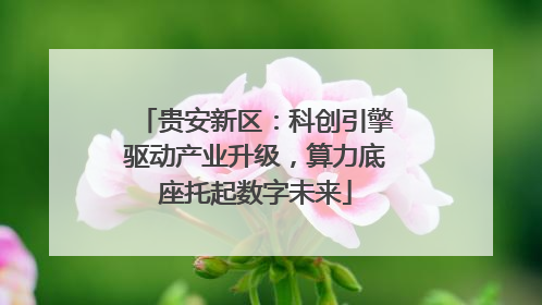 贵安新区：科创引擎驱动产业升级，算力底座托起数字未来