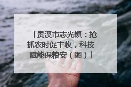 贵溪市志光镇：抢抓农时促丰收，科技赋能保粮安（图）