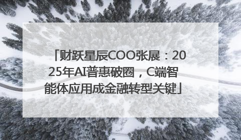 财跃星辰COO张展：2025年AI普惠破圈，C端智能体应用成金融转型关键