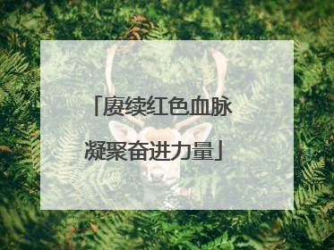 赓续红色血脉 凝聚奋进力量