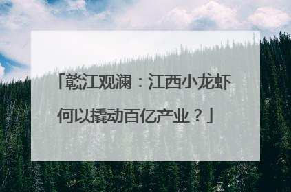 赣江观澜：江西小龙虾何以撬动百亿产业？