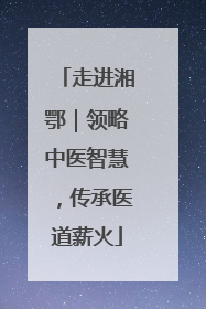 走进湘鄂｜领略中医智慧，传承医道薪火