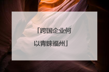 跨国企业何以青睐福州