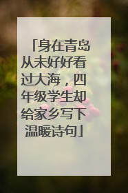 身在青岛从未好好看过大海，四年级学生却给家乡写下温暖诗句