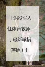 退役军人任体育教师，最新举措落地！