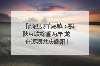 郧西县羊尾镇：鄂陕互联粽香两岸 龙舟逐浪共庆端阳
