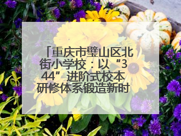 重庆市璧山区北街小学校：以“344”进阶式校本研修体系锻造新时代强师