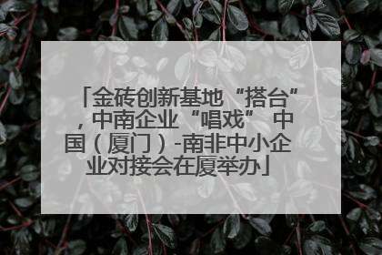 金砖创新基地“搭台”，中南企业“唱戏” 中国（厦门）-南非中小企业对接会在厦举办