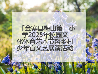 金寨县梅山第一小学2025年校园文化体育艺术节暨乡村少年宫文艺展演活动圆满落幕