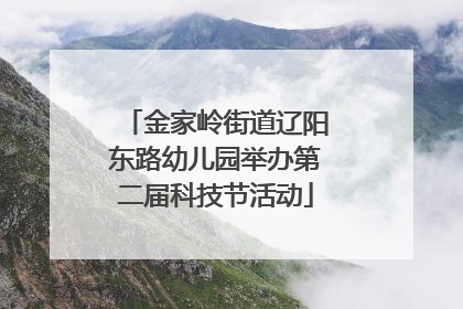 金家岭街道辽阳东路幼儿园举办第二届科技节活动
