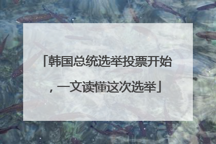 韩国总统选举投票开始，一文读懂这次选举