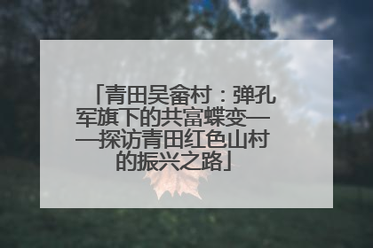 青田吴畲村：弹孔军旗下的共富蝶变——探访青田红色山村的振兴之路