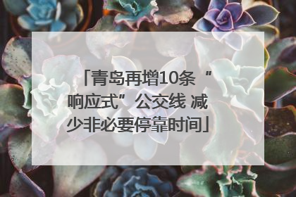 青岛再增10条“响应式”公交线 减少非必要停靠时间