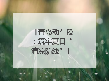 青岛动车段：筑牢夏日“清凉防线”