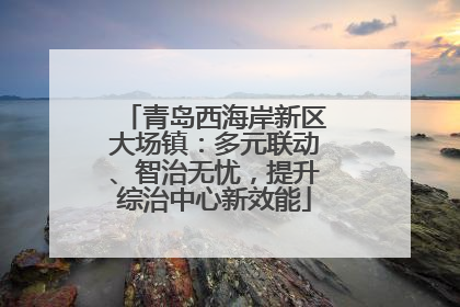 青岛西海岸新区大场镇：多元联动、智治无忧，提升综治中心新效能