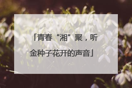 青春“湘”聚，听金种子花开的声音