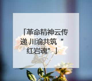 革命精神云传递 川渝共筑“红岩魂”