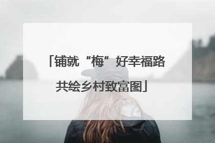 铺就“梅”好幸福路 共绘乡村致富图