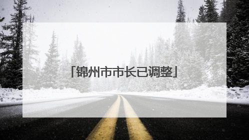 锦州市市长已调整