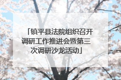 镇平县法院组织召开调研工作推进会暨第三次调研沙龙活动