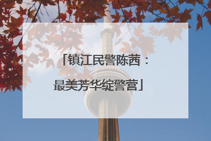 镇江民警陈茜：最美芳华绽警营