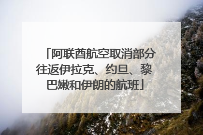 阿联酋航空取消部分往返伊拉克、约旦、黎巴嫩和伊朗的航班