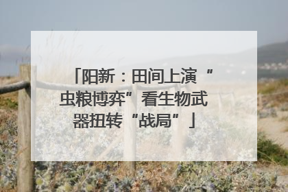阳新：田间上演“虫粮博弈”看生物武器扭转“战局”