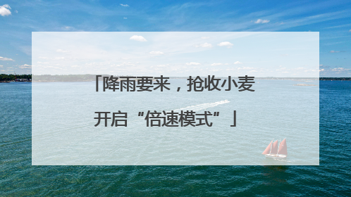 降雨要来，抢收小麦开启“倍速模式”