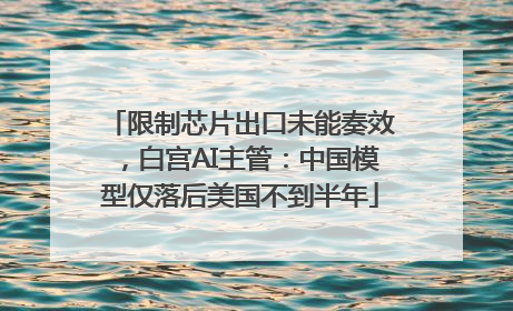 限制芯片出口未能奏效，白宫AI主管：中国模型仅落后美国不到半年