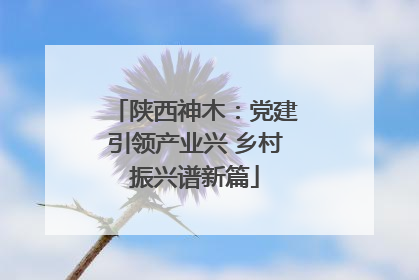陕西神木：党建引领产业兴 乡村振兴谱新篇