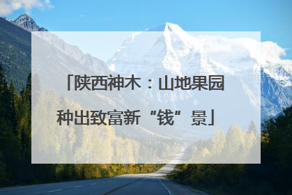 陕西神木：山地果园种出致富新“钱”景