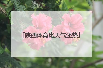 陕西体育比天气还热