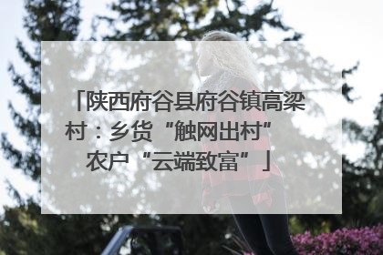 陕西府谷县府谷镇高梁村：乡货“触网出村” 农户“云端致富”