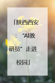 陕西西安：“AI教研员”走进校园