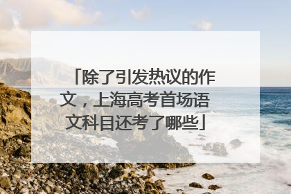 除了引发热议的作文，上海高考首场语文科目还考了哪些