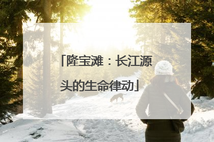 隆宝滩：长江源头的生命律动