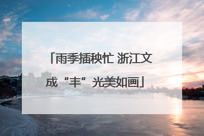雨季插秧忙 浙江文成“丰”光美如画